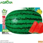 Big Size Water Melon Seeds Green