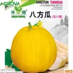 Honey Melon Seeds তরমুজ বীজ