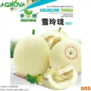 Due Melon Seeds