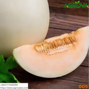 Due Melon Seeds