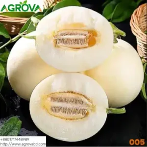 Due Melon Seeds