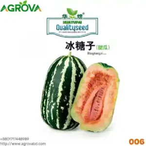Lite Honey Melon Seeds Green 006