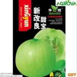 Green Melon Seeds 008