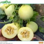 Agrova Melon Seeds 008 - Image 3
