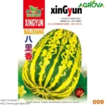 Bangi Melon Zebra 009