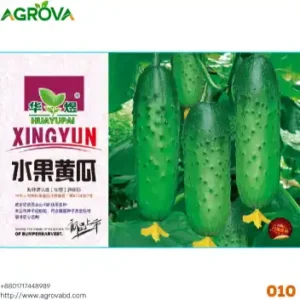 Agrova Fruit Cucumber Seeds