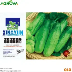 Agrova Fruit Cucumber Seeds