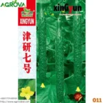 Arabic Cucumber Seeds 011 - Image 4