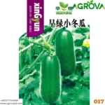 zucchini seeds 0017 - Image 2