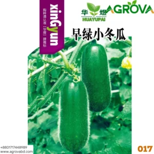 zucchini seeds 0017