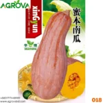 Honey Red Pumpkin Seed Japanese Varity 018