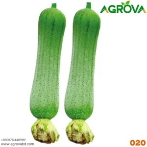 Changsha Meat Sponge Gourd Seeds