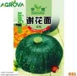 Agrova Huamian Pumpkin China 0021