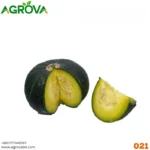 Agrova Huamian Pumpkin China 0021 - Image 3