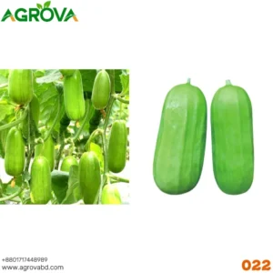 Baling Crisp Melon Seeds 022