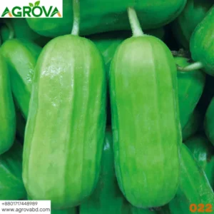 Baling Crisp Melon Seeds 022