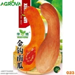 Golden Hook Pumpkin Seeds 023