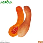 Golden Hook Pumpkin Seeds 023 - Image 2