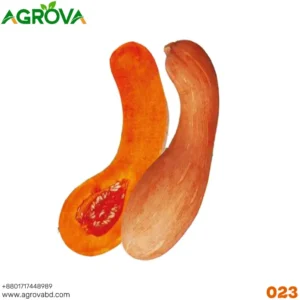 Golden Hook Pumpkin Seeds