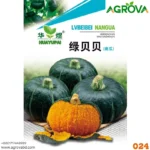 Chestnut Pumpkin Seeds Four Seasons 024