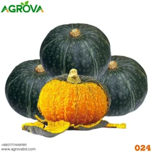 Green Baby Pumpkin Seeds
