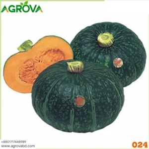 Green Baby Pumpkin Seeds
