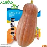 Honey Pumpkin Seeds 025