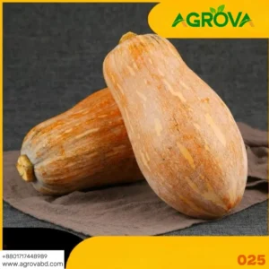 Agrova Cream Pumpkin Seeds