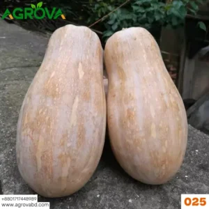 Agrova Cream Pumpkin Seeds