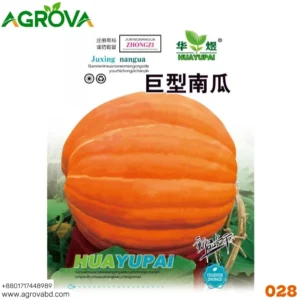 Giant 100 Plus Kg Pumpkin Seeds