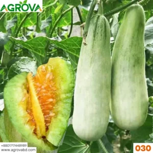 Agrova Goat Horn Crispy Melon Seeds 030