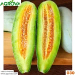 Agrova Goat Horn Crispy Melon Seeds 030 - Image 3