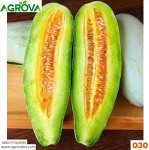 Agrova Goat Horn Crispy Melon Seeds 030