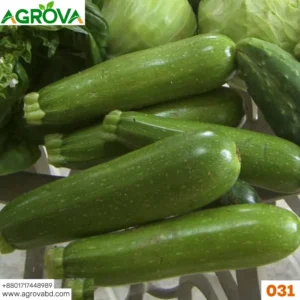 Agrova Green Squash Seeds