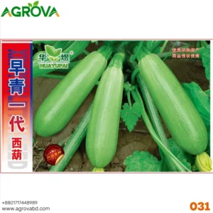 Agrova Green Squash Seeds
