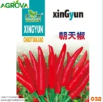 Agrova China Red Three Cherry Pepper Seed চায়না লাল সূর্য মুখী মরিচ