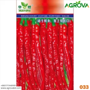 Agrova Big Size Hot Pepper Seeds
