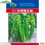 Agrova Pepper Chilli Hybrid Bengali Surajmukhi Type 036