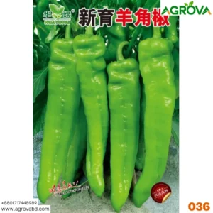 Agrova Pepper Chilli Hybrid Bengali Surajmukhi Type 036