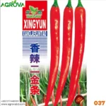 Agrove Red Chilli Pepper Seeds 37