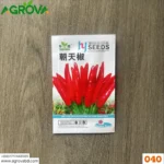 Agrova China Red Five Cherry Pepper Seed 040