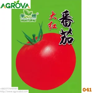 Agrova Red Apple Tomato Seeds