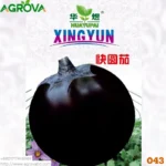 Agrova Round Eggplant Seeds 043