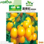 Agrova Yellow Pear Tomatoes China 044