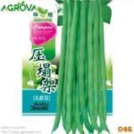 Agrova Bean seeds (Botboti) 046 - Image 2