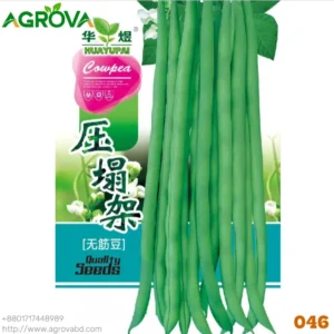 Unframed long beans Seeds
