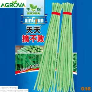 Unframed long beans Seeds