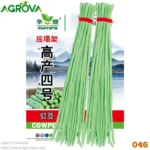 Agrova Bean seeds (Botboti) 046 - Image 4