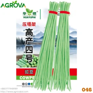 Unframed long beans Seeds