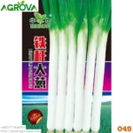 Agrova Giant Green Onion Leeks Seeds 49